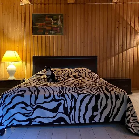 Tatil Evi Domek W Wsi